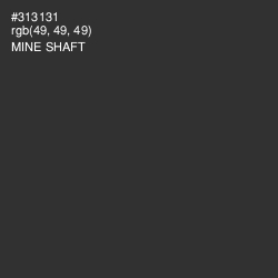 #313131 - Mine Shaft Color Image